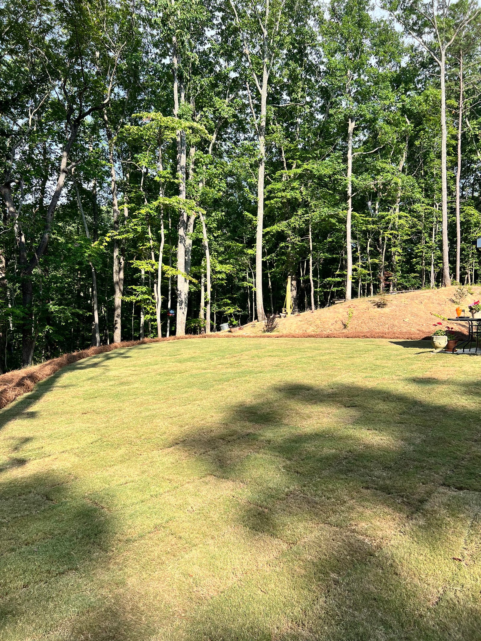 Sod installation detail